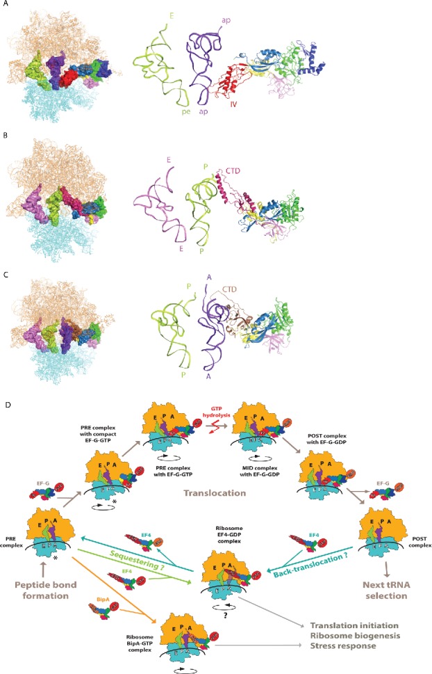 Figure 4.