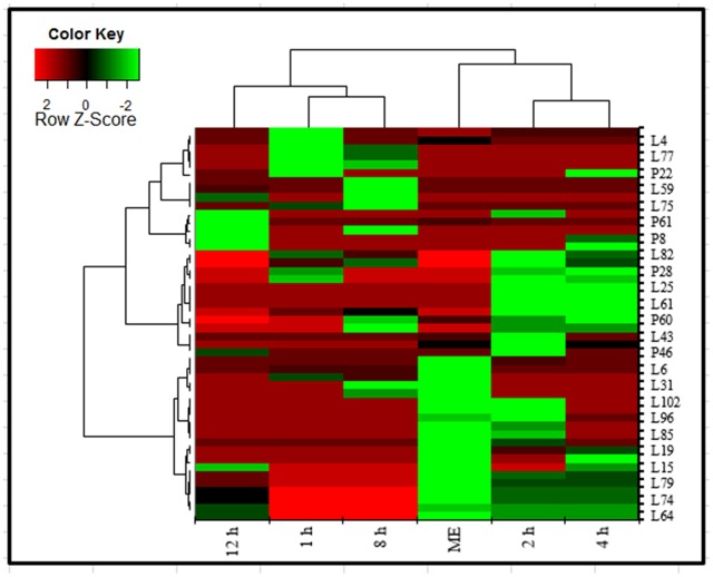 FIGURE 11