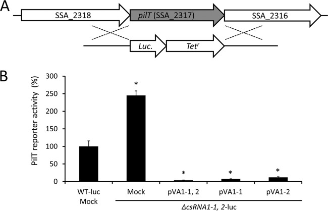 FIG 2