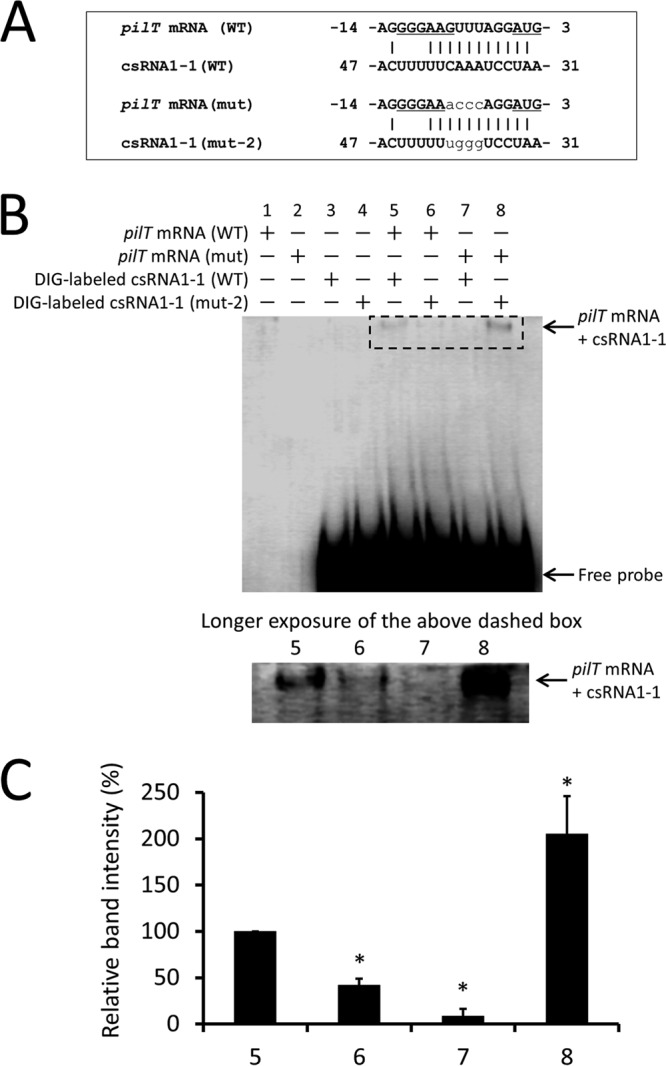 FIG 5