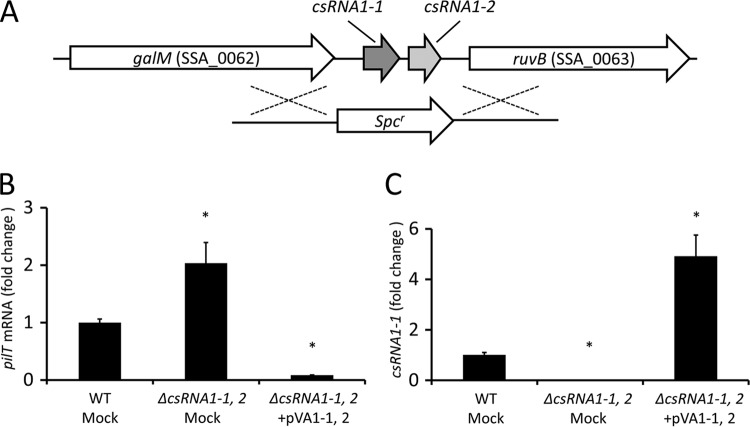 FIG 1