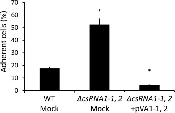 FIG 6