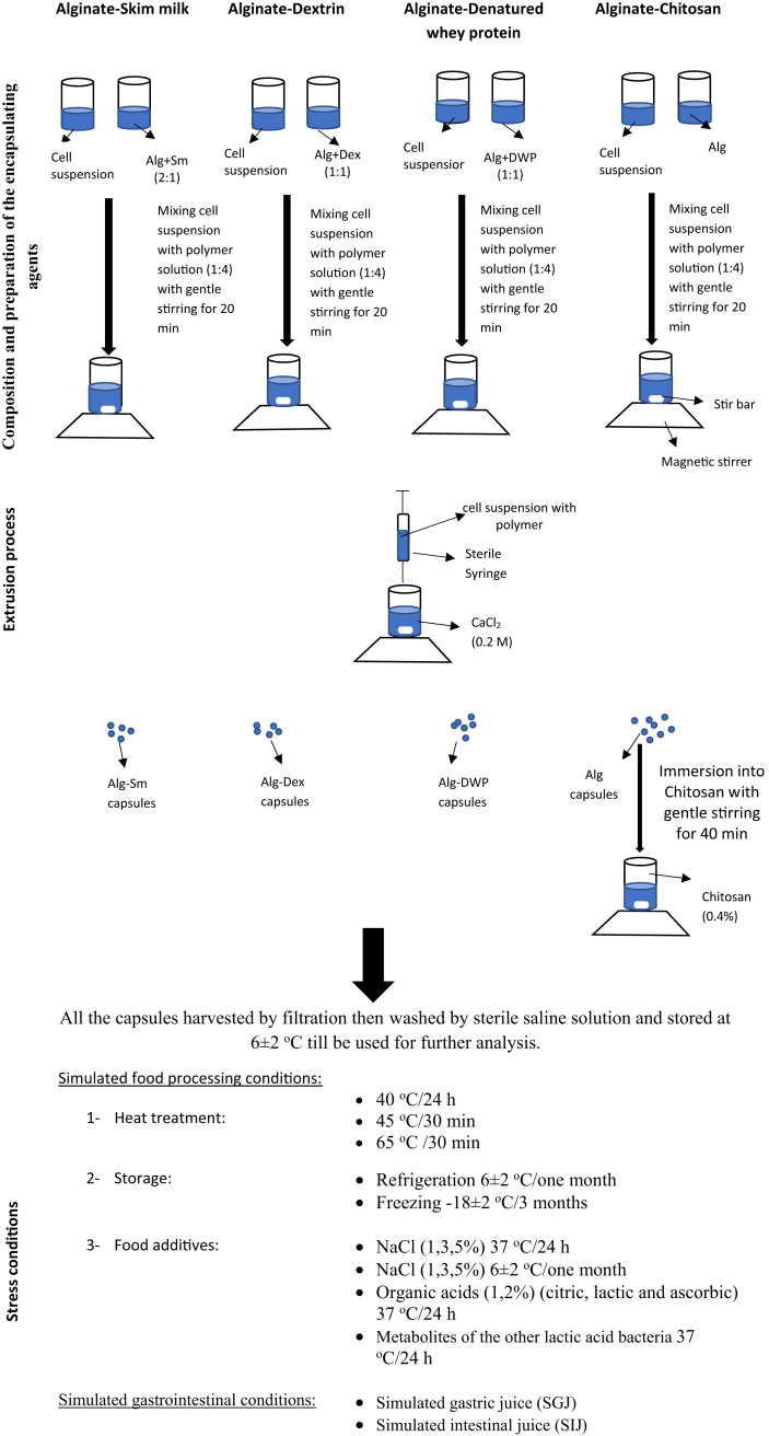 Figure 1