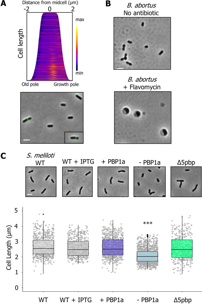 FIG 6