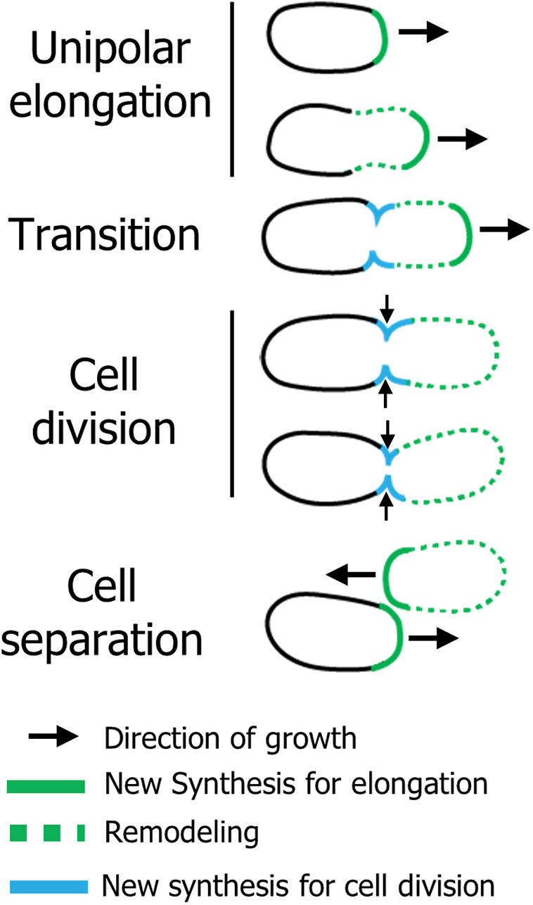 FIG 7