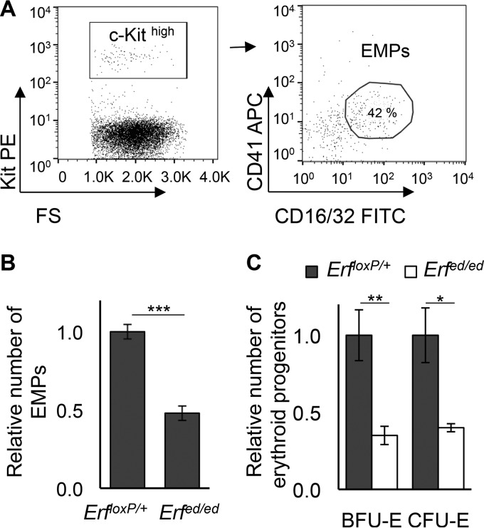 FIG 3