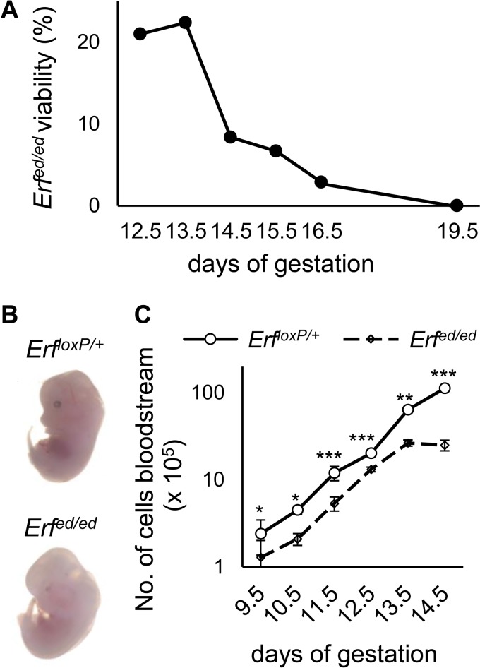 FIG 1