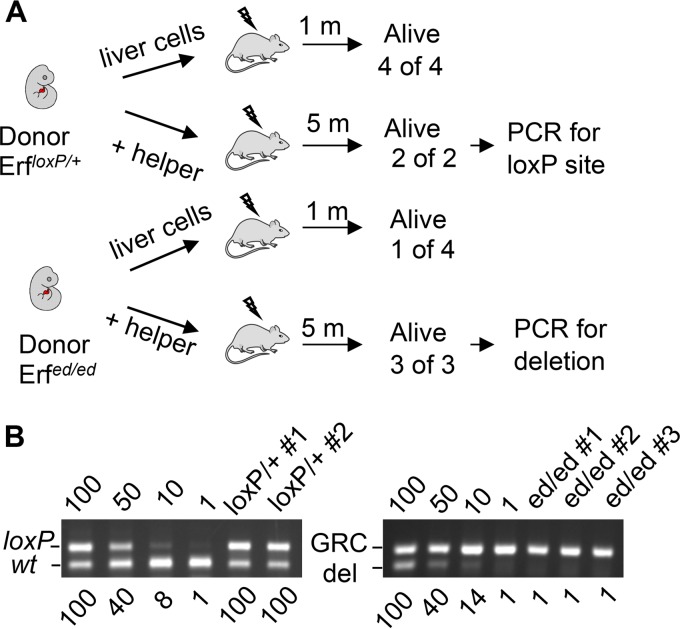 FIG 6