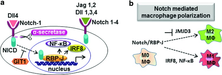 FIG. 5.