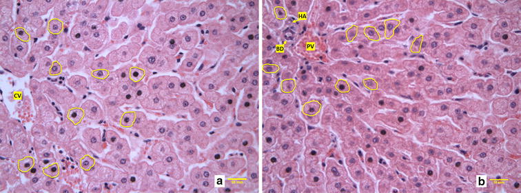 Fig. 1