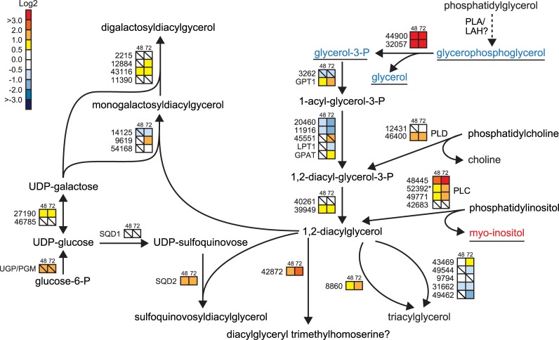 Fig 6