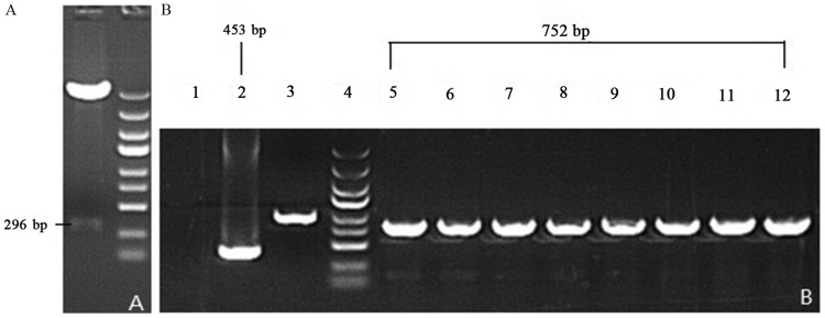 Figure 4.