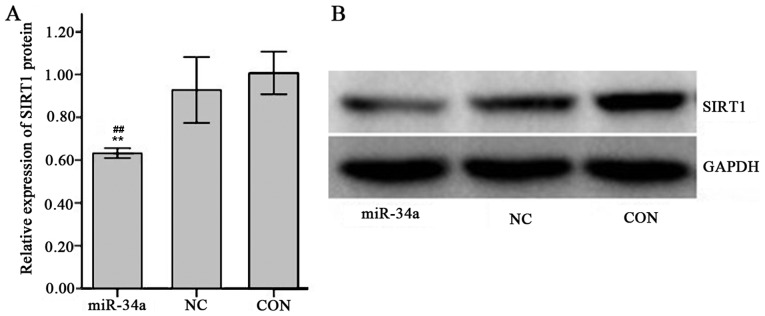 Figure 10.