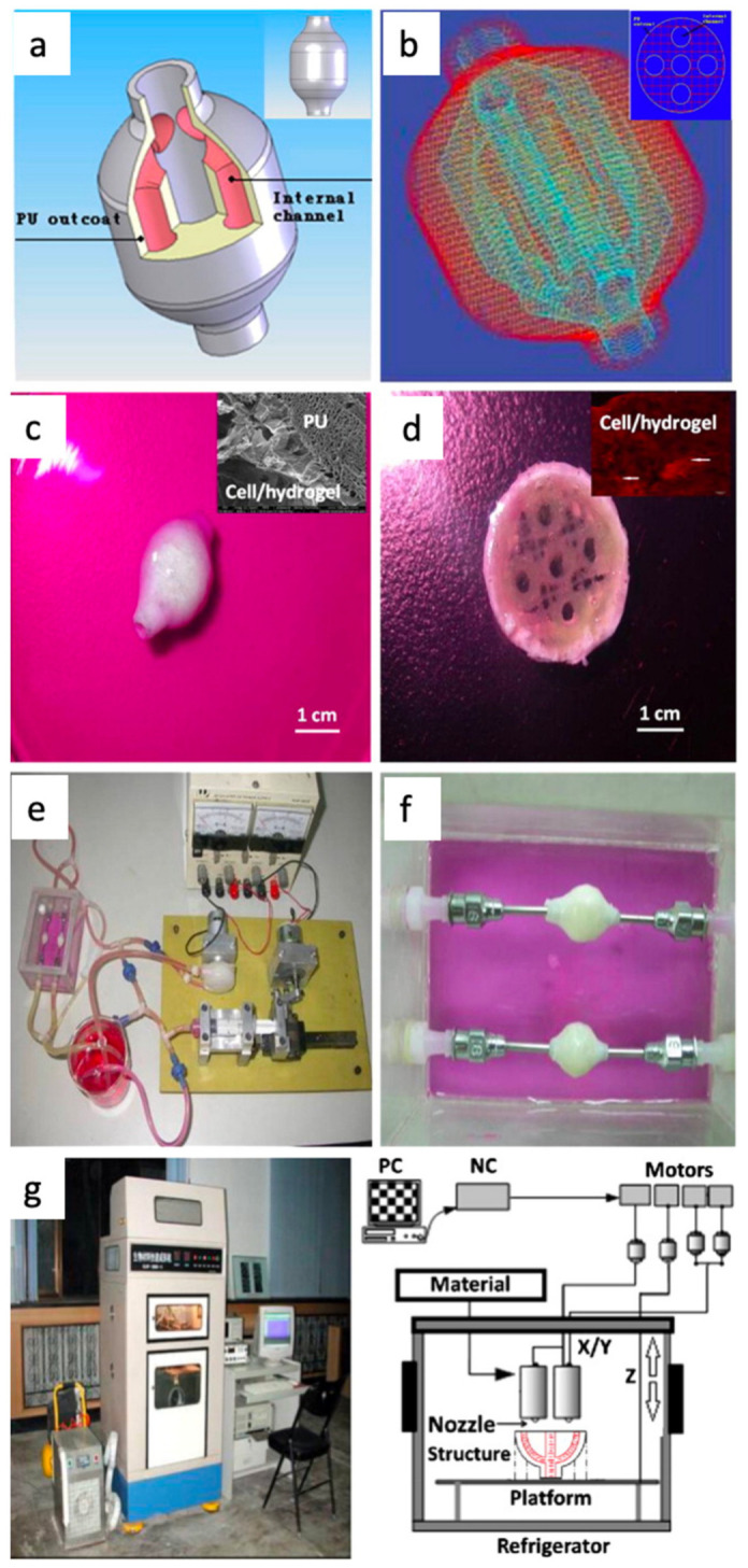 Figure 14