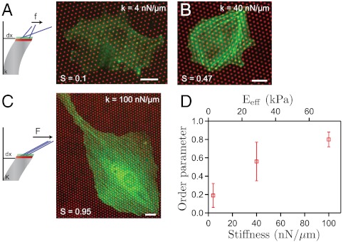 Fig. 4.