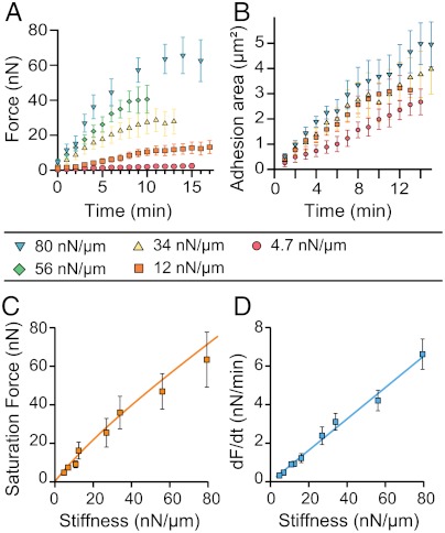 Fig. 2.