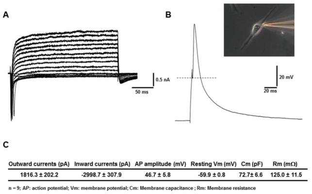 Figure 5