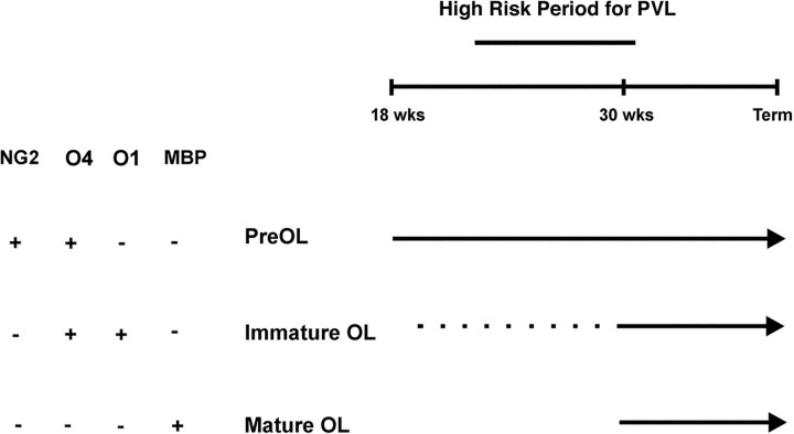 Fig. 10.