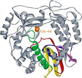 Fig. 7