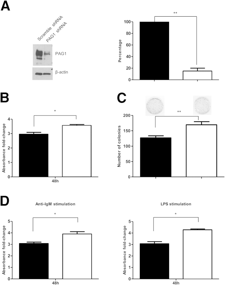 Figure 6