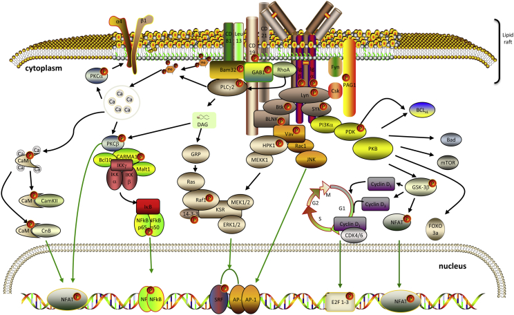 Figure 4