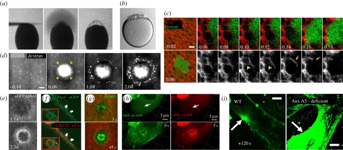 Figure 3.