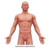 Figura 4