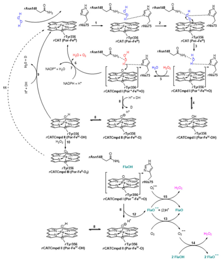 Scheme 2