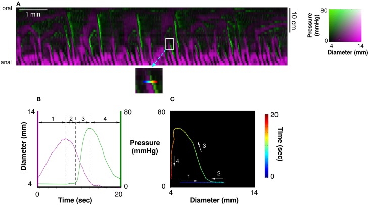 Figure 2