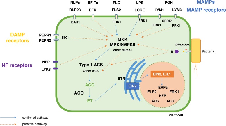 FIGURE 3