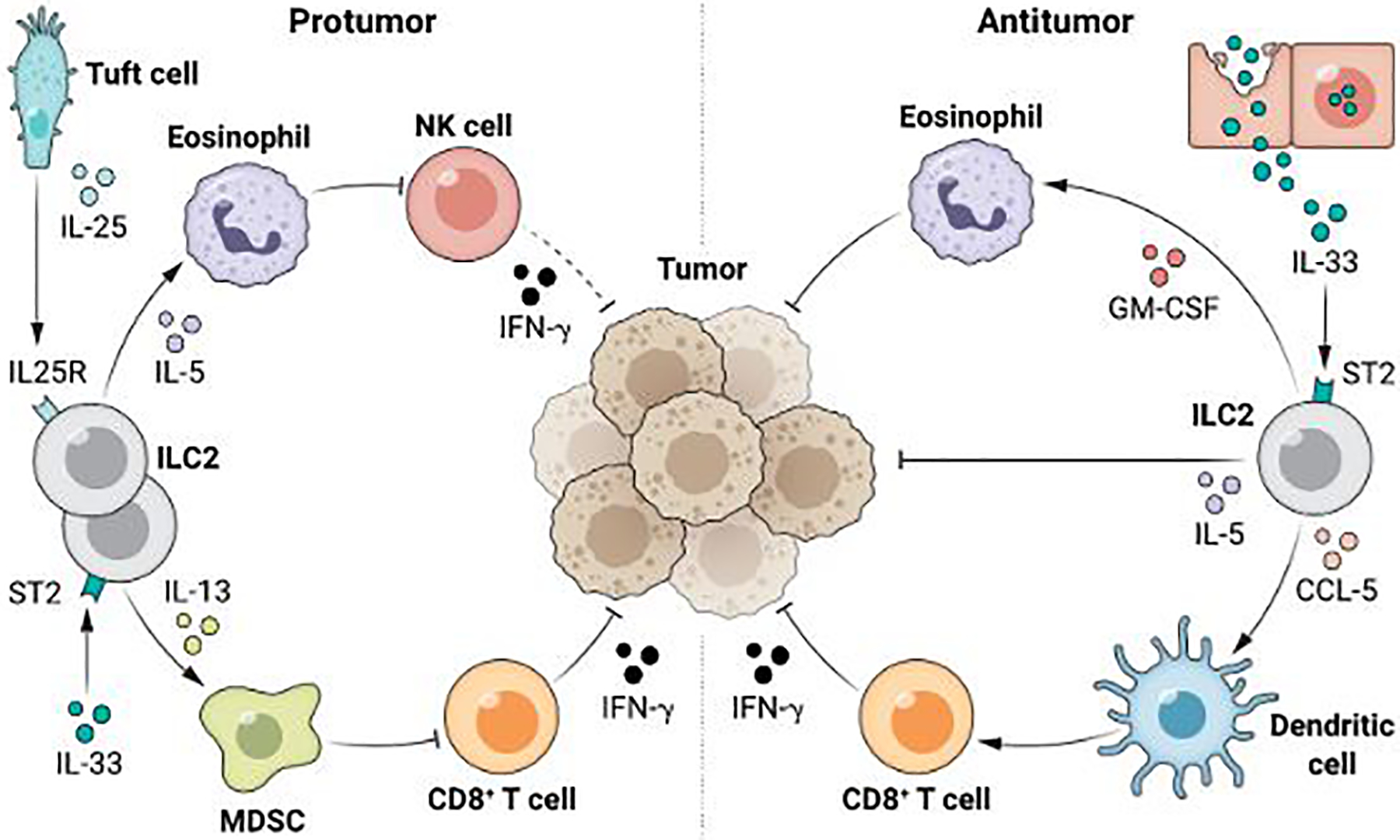 Figure 1: