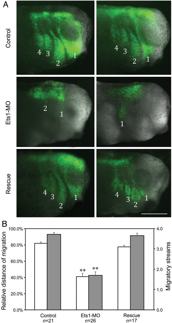 Figure 3