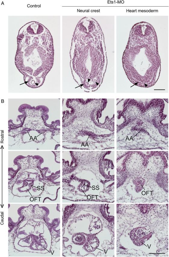 Figure 4