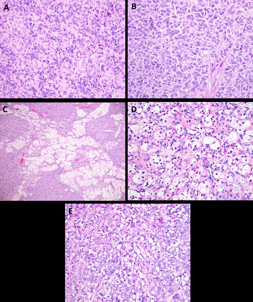 Figure 4: