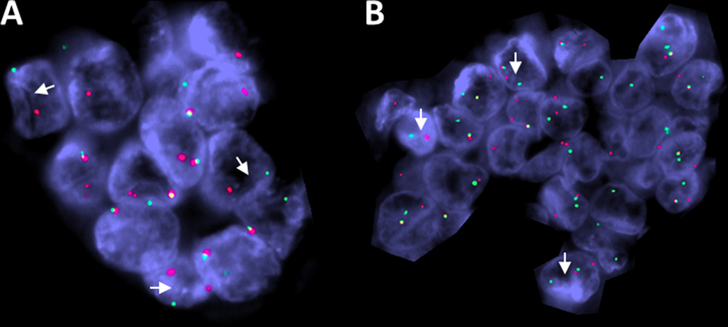 Figure 6: