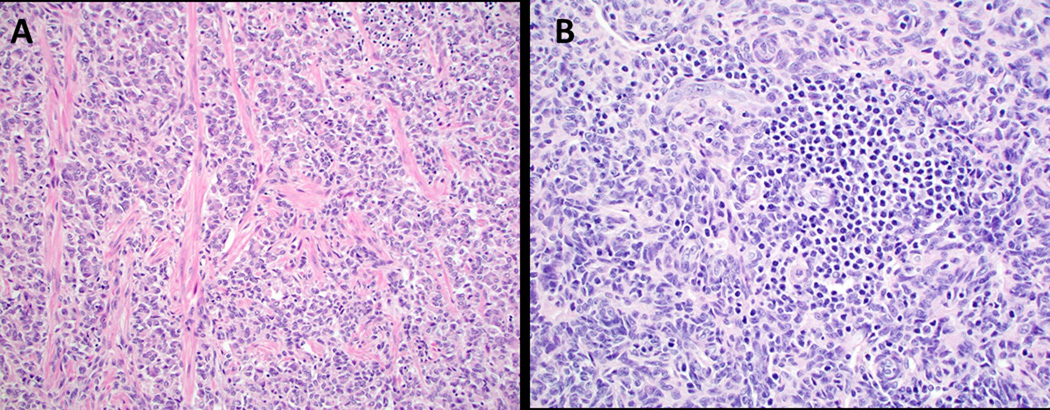 Figure 5: