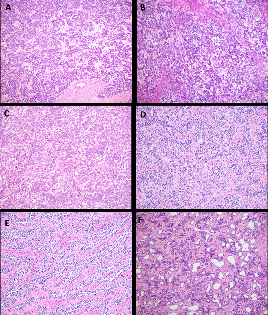 Figure 2: