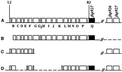 FIG. 2.