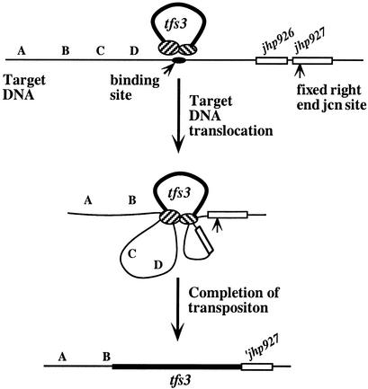 FIG. 4.