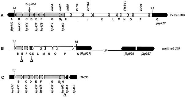 FIG. 1.