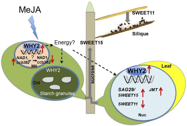 Figure 9.