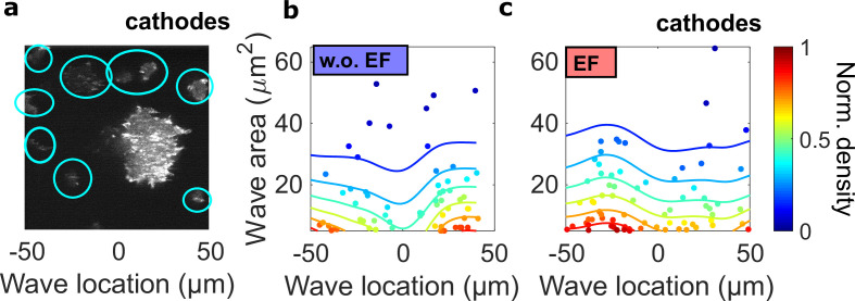 Figure 4—figure supplement 1.