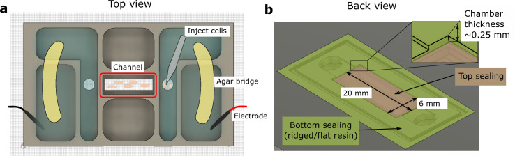 Figure 2—figure supplement 1.