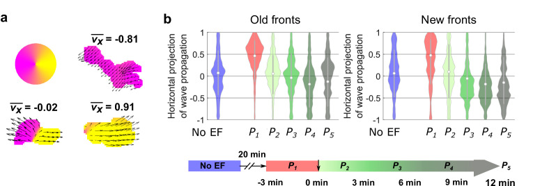 Figure 4—figure supplement 2.