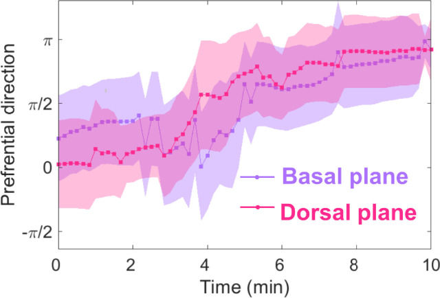 Figure 3—figure supplement 2.