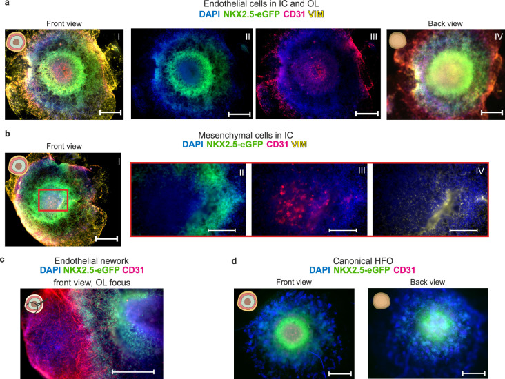 Extended Data Fig. 3