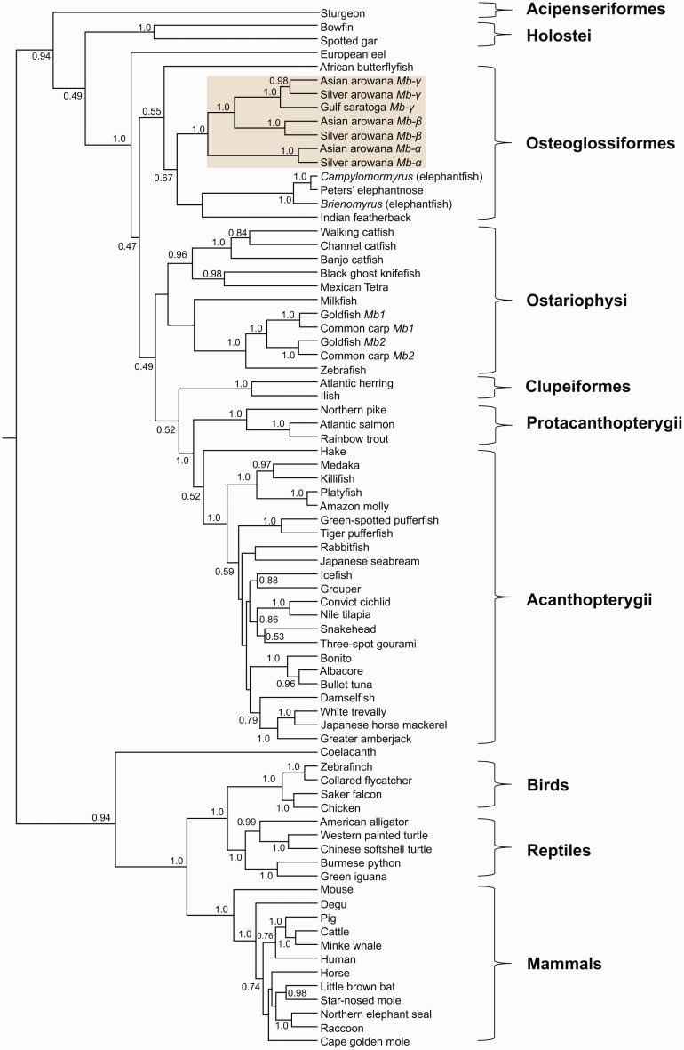 Fig. 2.—