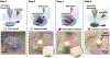 Fig 9.
