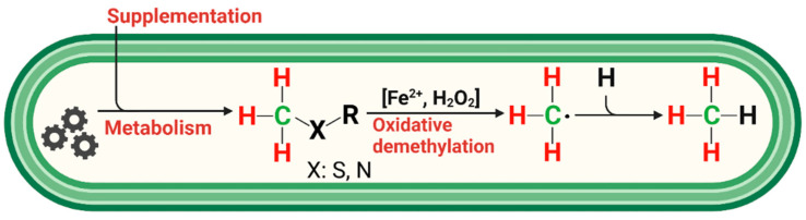 Figure 6