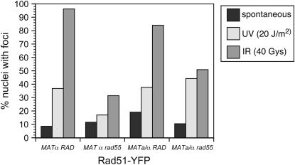 Figure 4.—